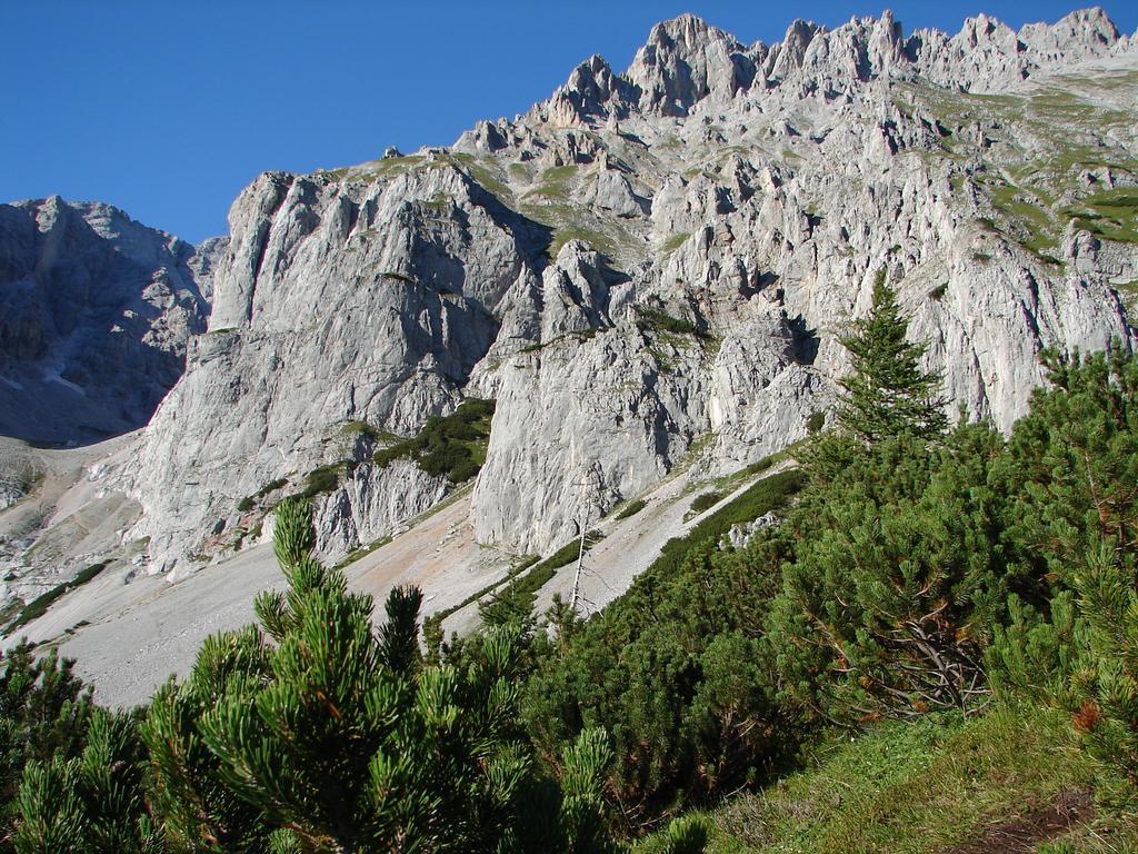 Haus Latschenheim Ramsau am Dachstein Exterior foto