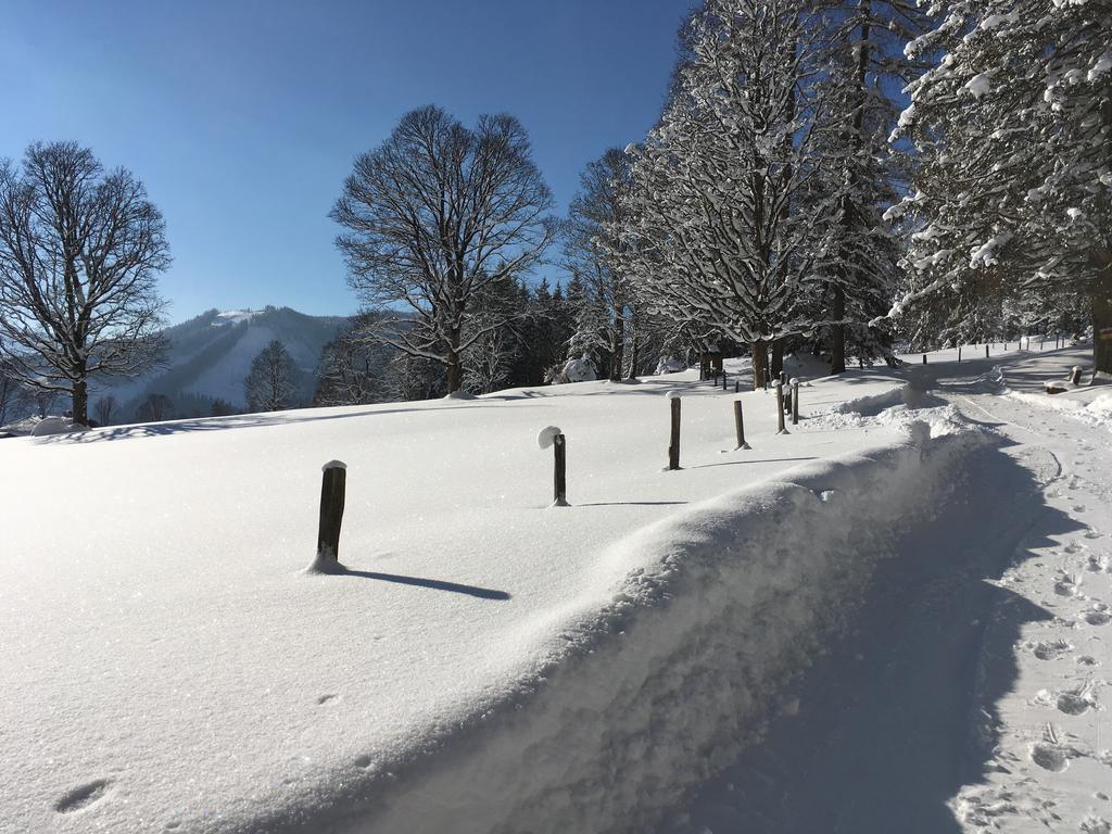 Haus Latschenheim Ramsau am Dachstein Exterior foto
